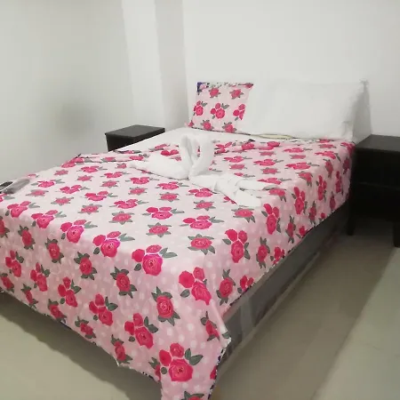 Novo Janeiro Hotel *