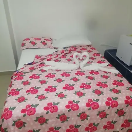 Novo Janeiro *