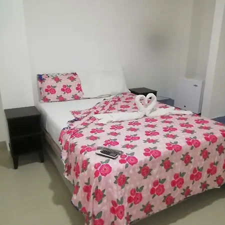 Novo Janeiro Hotel